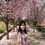 Rui standing under cherry blossoms